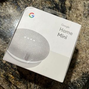 Google Home Mini Chalk